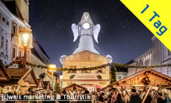 Gansberger Reisen - Urlaub - Ausflug - Tagesfahrt 