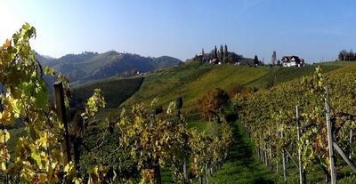 Gansberger Reisen - Urlaub - Ausflug - Goldener Herbst