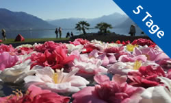 Gansberger Reisen - Urlaub - Ausflug - Azaleenblüte Lago Maggiore